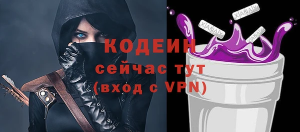мдпв Богородск
